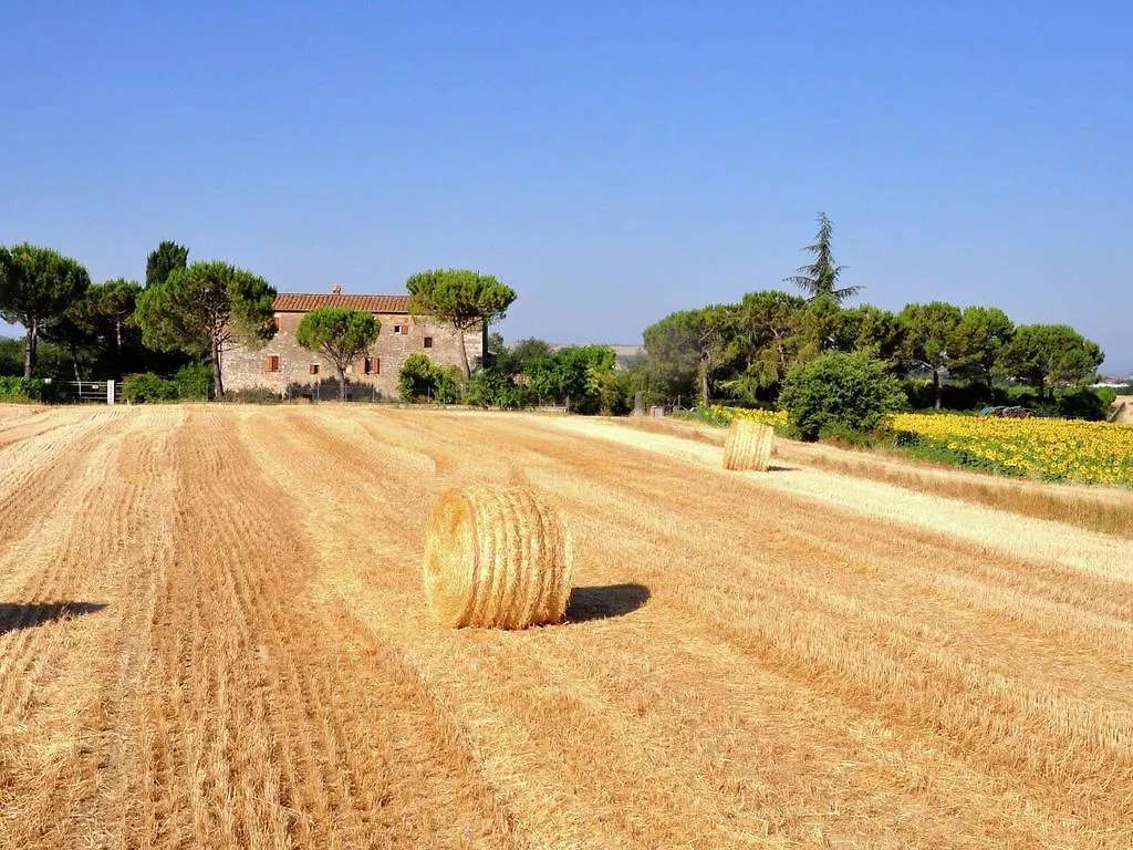 Nice Farmhouse In Asciano With Shared Pool Holiday home