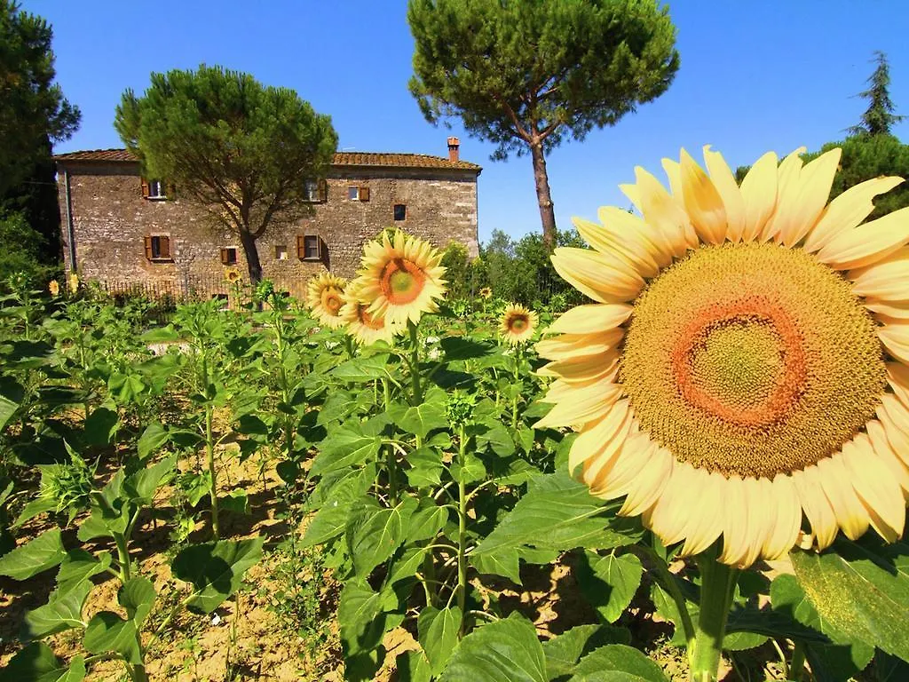 Nice Farmhouse In Asciano With Shared Pool