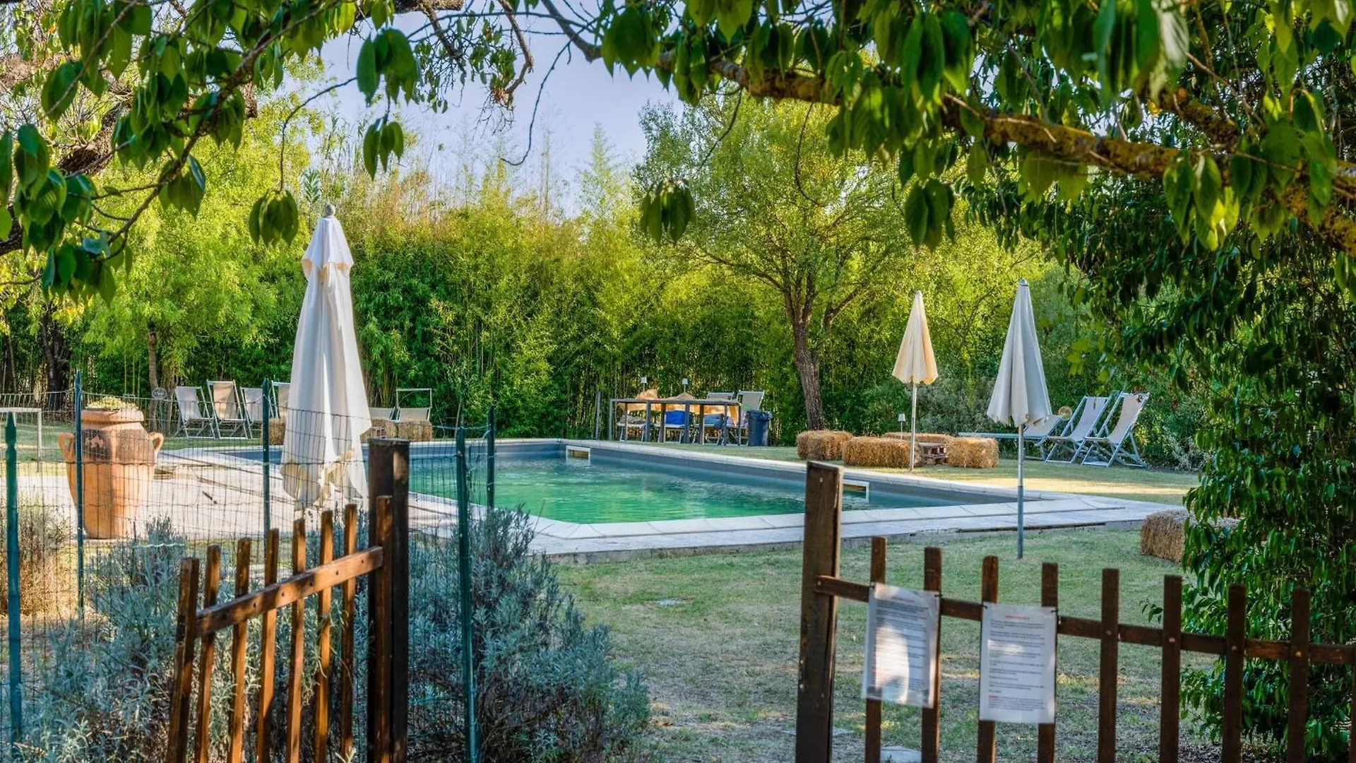 Nice Farmhouse In Asciano With Shared Pool