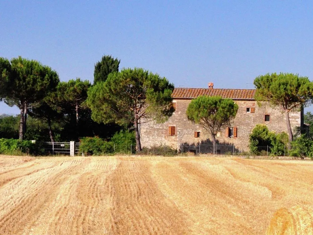 Holiday home Nice Farmhouse In Asciano With Shared Pool