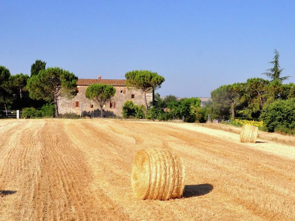 Nice Farmhouse In Asciano With Shared Pool Holiday home